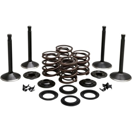 Engine Valve Kit