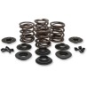 OEM Replacement Valve Spring Kit