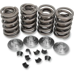 OEM Replacement Valve Spring Kit