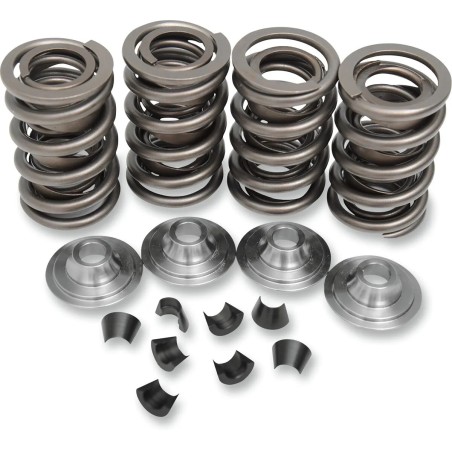 OEM Replacement Valve Spring Kit
