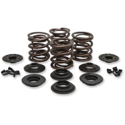 OEM Replacement Valve Spring Kit