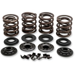 OEM Replacement Valve Spring Kit