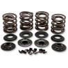 OEM Replacement Valve Spring Kit