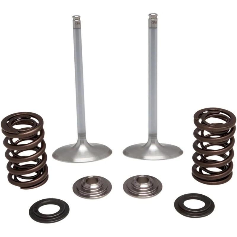Intake Stainless Conversion Valve and Spring Kit
