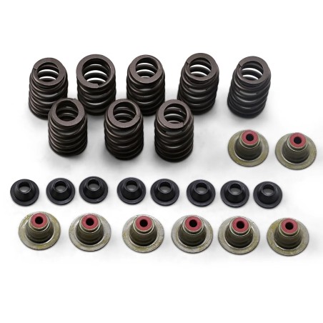 Valve Spring Kit