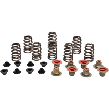 Beehive Valve Spring Kit