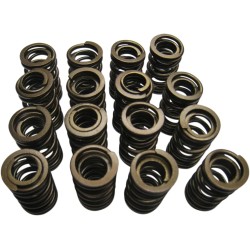 Valve Springs