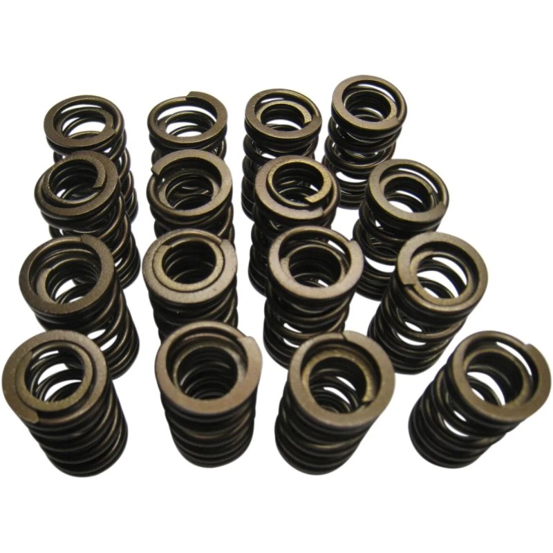 Valve Springs
