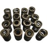 Valve Springs