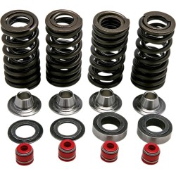 Valve Spring Kit