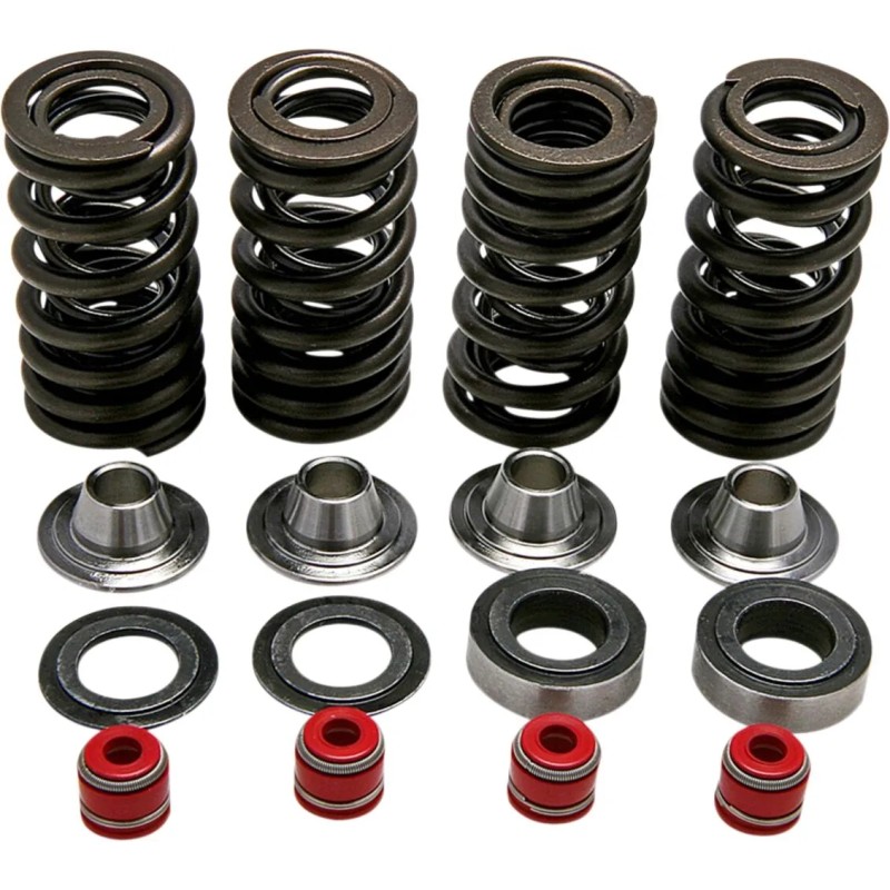 Valve Spring Kit