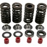 Valve Spring Kit