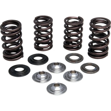 Lightweight Racing Valve Spring Kit