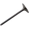 Soupape moteur en titane Tensilite®
