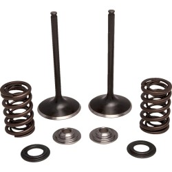 Kit Conversion Soupape d'Admission Inox et Ressort