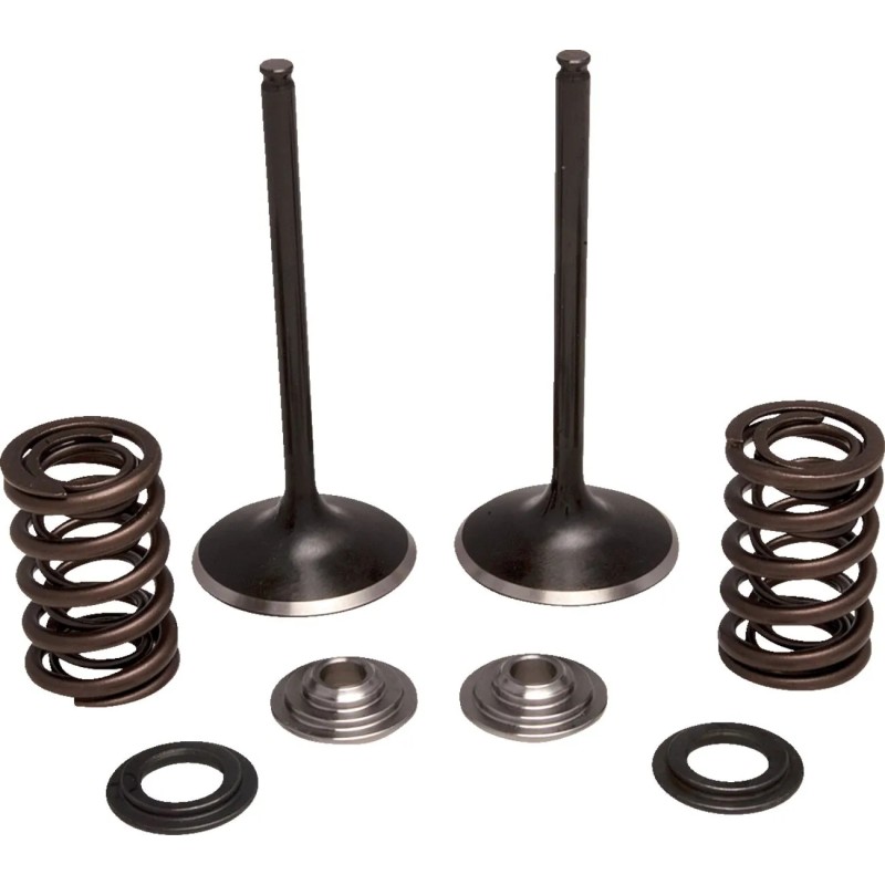 Intake Stainless Conversion Valve and Spring Kit