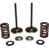 Intake Stainless Conversion Valve and Spring Kit