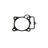 Cylinder Base Gasket