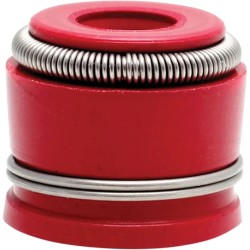 Valve Guide Seals