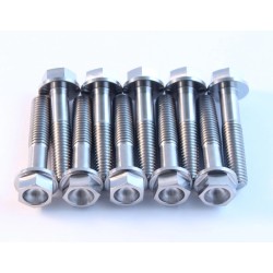 Titanium Screws