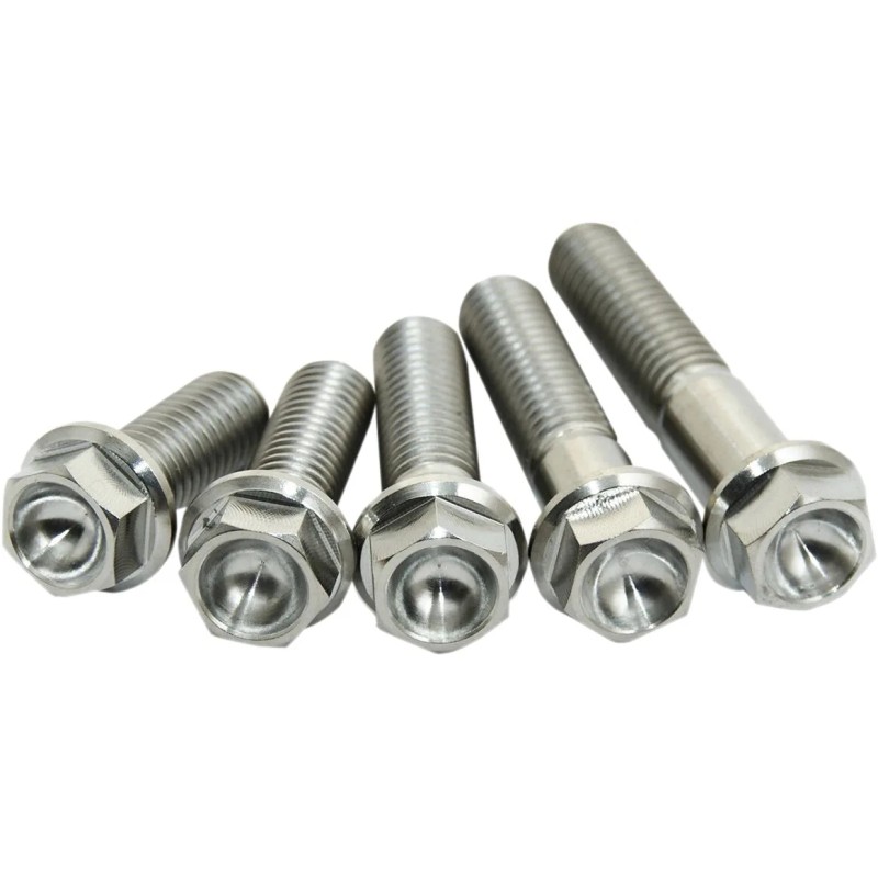 Titanium Screws