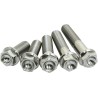 Titanium Screws