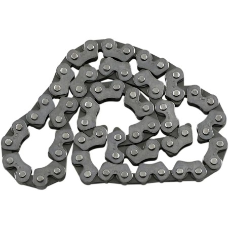 Cam Chain