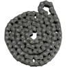 Cam Chain