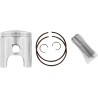 Piston Kit for 2 Stroke