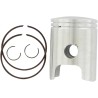 Piston Kit for 2 Stroke