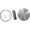 Piston Kit for 2 Stroke