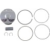 Piston Kit for 4 Stroke