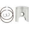 Piston Kit for 2 Stroke