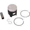 Piston Kit for 2 Stroke