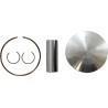 Kit piston pour 2 temps