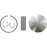 Piston Kit for 2 Stroke