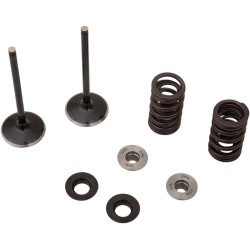 Intake Valve and Spring Kit