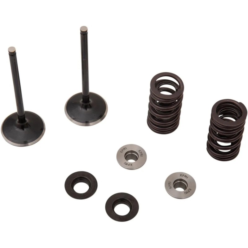 Intake Valve and Spring Kit