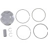 Piston Kit for 4 Stroke