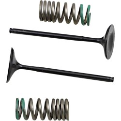 Valve and Spring Kit