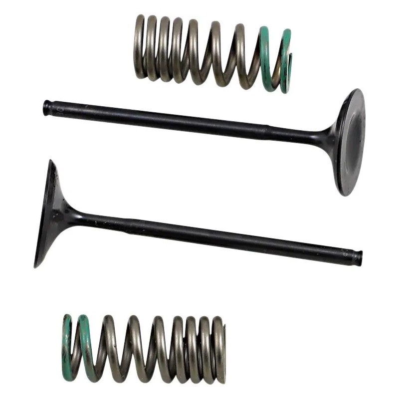 Valve and Spring Kit
