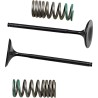 Valve and Spring Kit
