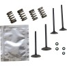 Valve Kit