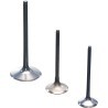 VALVE TITAN INT CRF250R