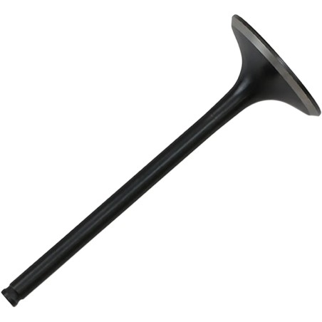 Black Diamond  Engine Valve