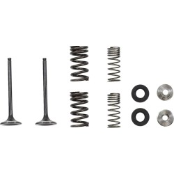 Exhaust Valve and Spring Kit