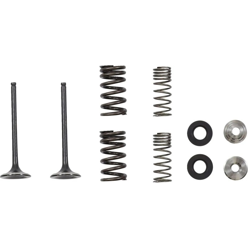 Exhaust Valve and Spring Kit