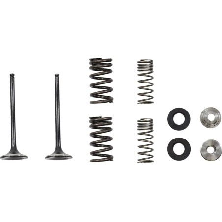 Exhaust Valve and Spring Kit
