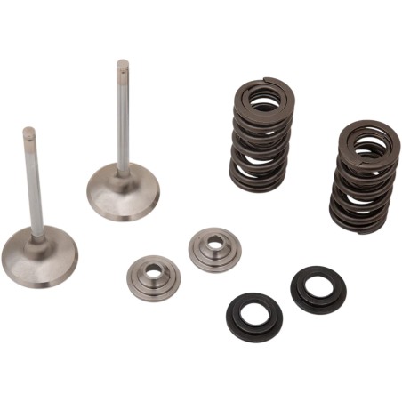 Exhaust Valve and Spring Kit