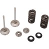 Exhaust Valve and Spring Kit